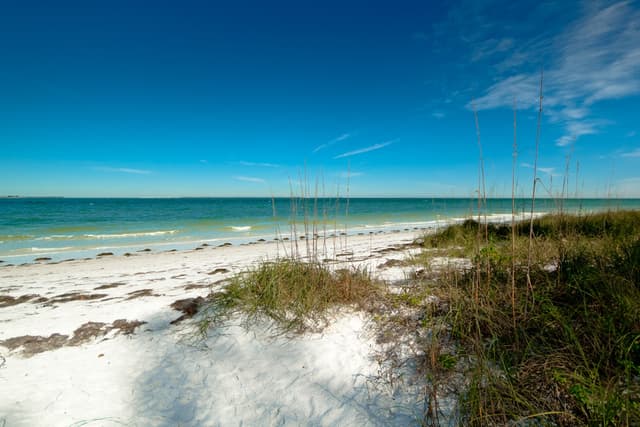 Beach View