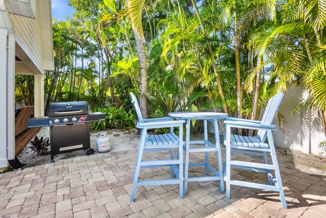 BBQ Grill and Outdoor Dining Area