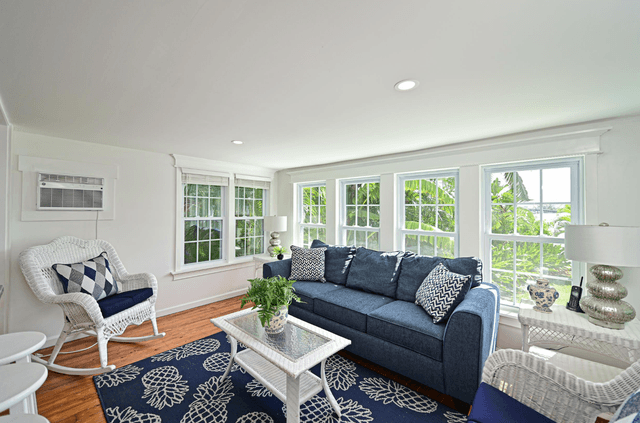 Living Room with Natural Light