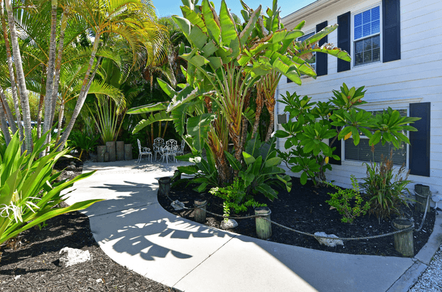 Tropical landscaping
