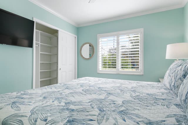 Second Bedroom - Closet