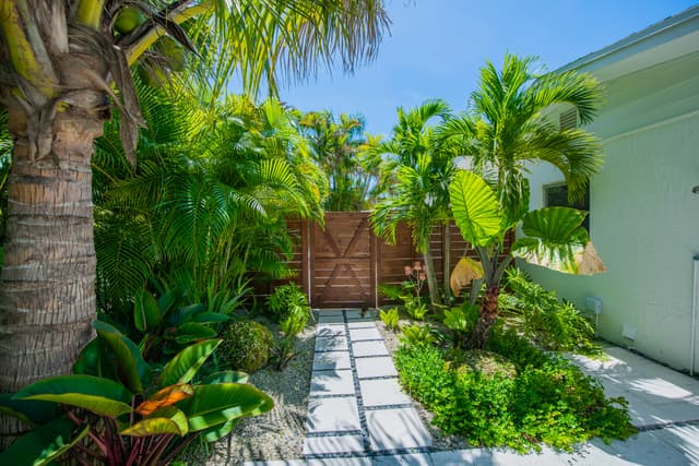 Pathways and Plants Surrounding