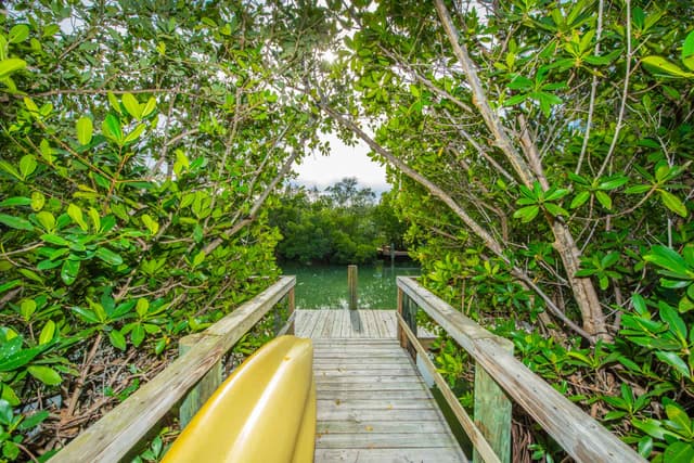 Private Dock