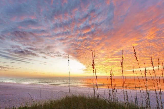 Amazing sunsets