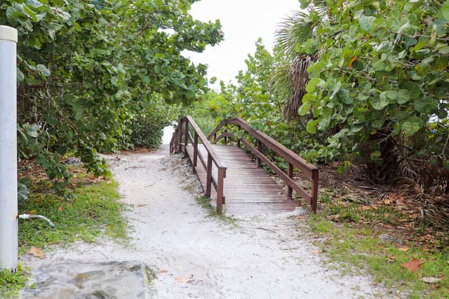 Beach Path