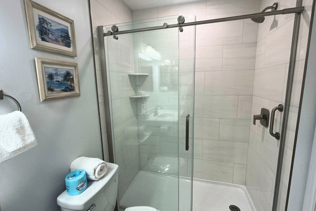 Master Bathroom Shower