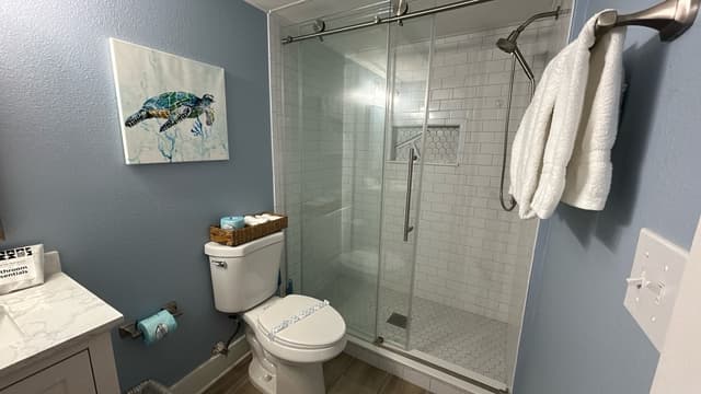 Hall Bathroom, Full bath with walk-in shower