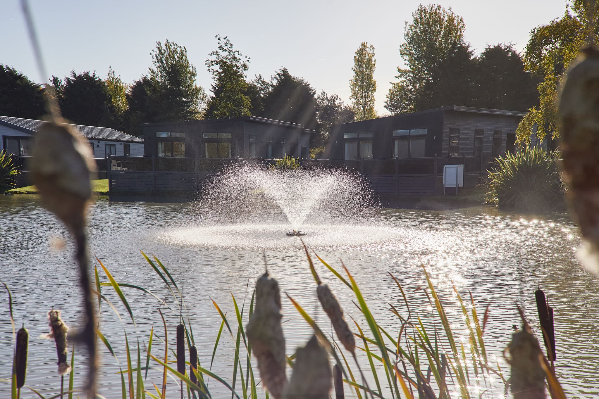 Host & Stay | Ailsa Lodge — photo 4