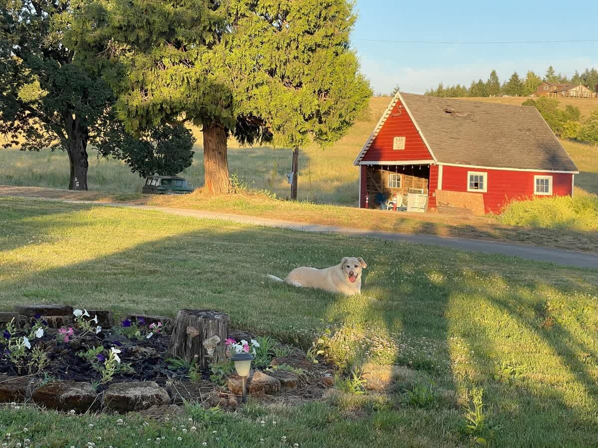 Barn Owl Hill - Historic Farmhouse Vineyard Views — photo 5