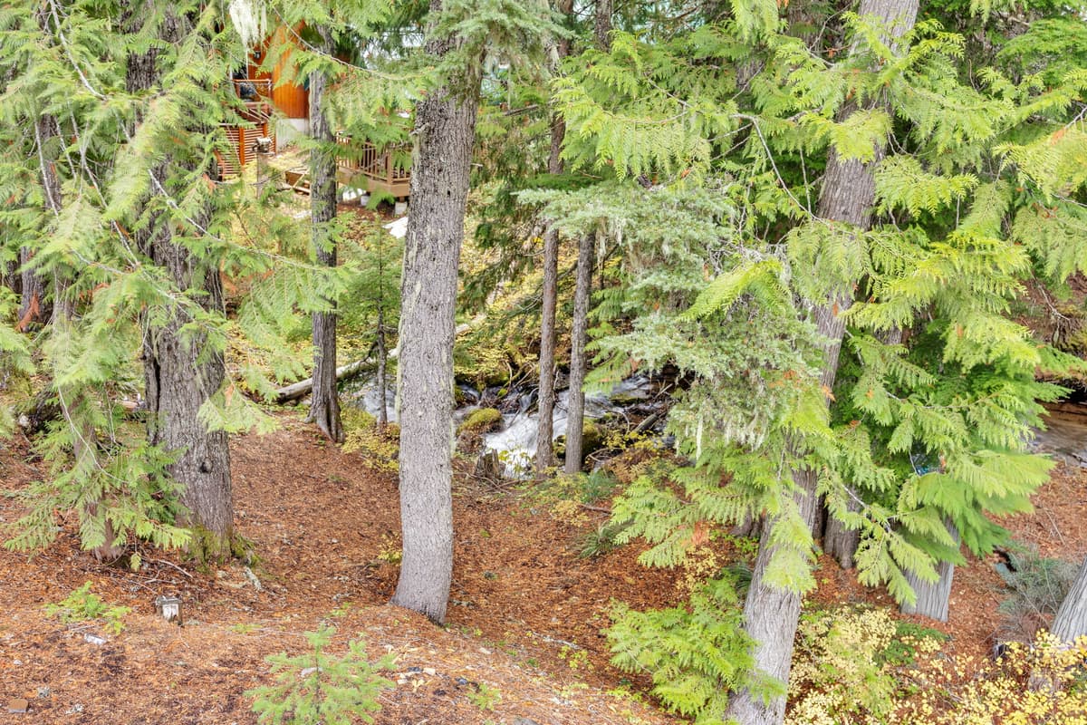 Berghuttlein Getaway - Cozy family alpine retreat with creek access — photo 22
