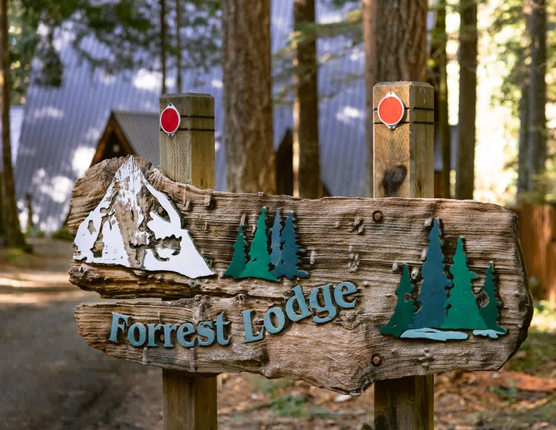 Forrest Lodge Luxe with Hot Tub & Sauna — photo 94