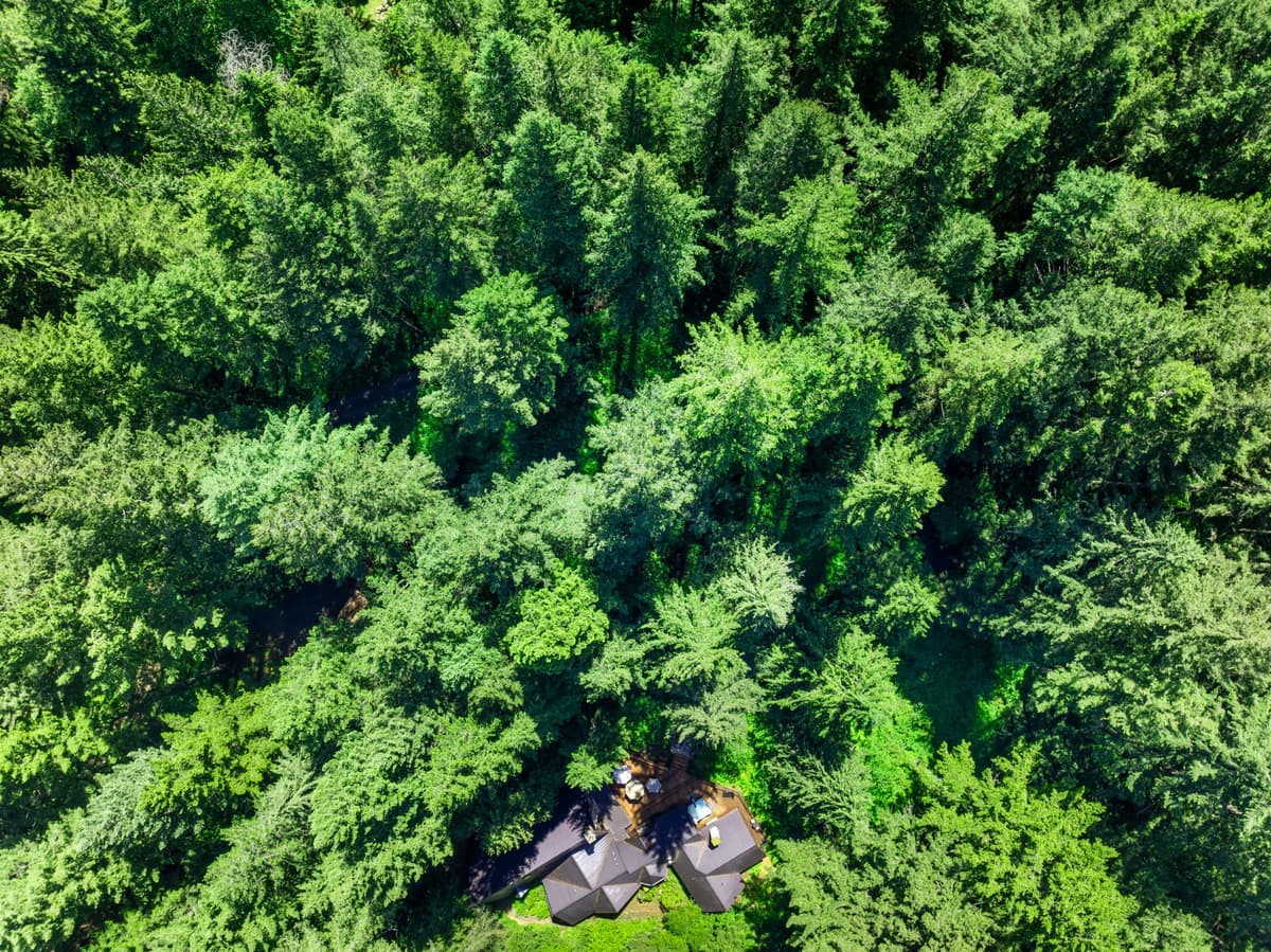 Forrest Lodge Luxe with Hot Tub & Sauna — photo 91