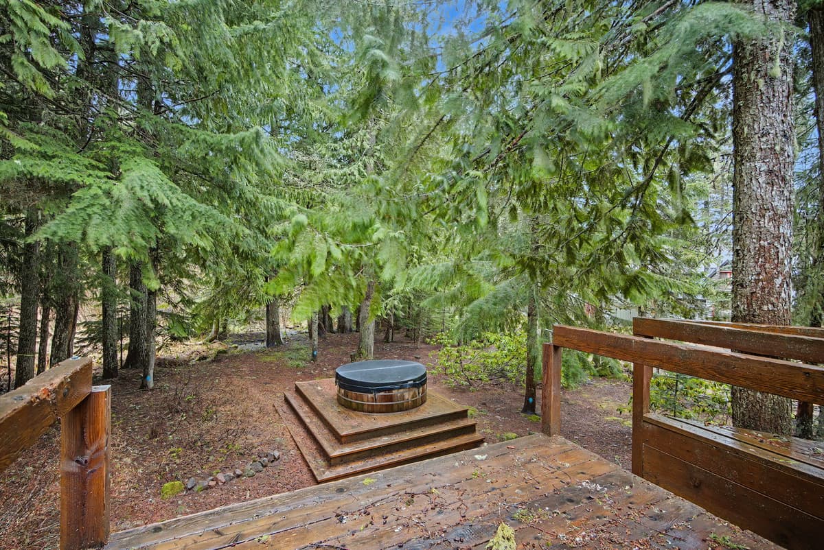 Holzhutte - Mid-century alpine retreat - Hot tub — photo 60
