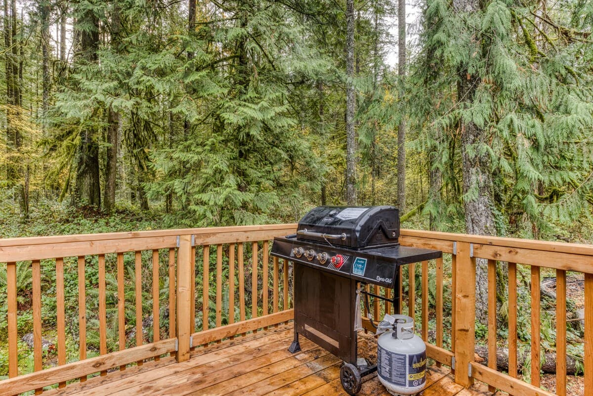 Pet-Friendly, Private BBQ Deck - Mt Air Unit 7 — photo 16