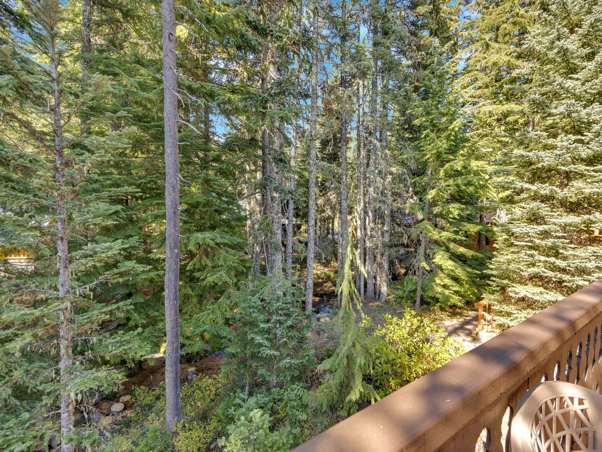Snowflake Chalet -Govy Chalet Steps to Glade Trail — photo 14