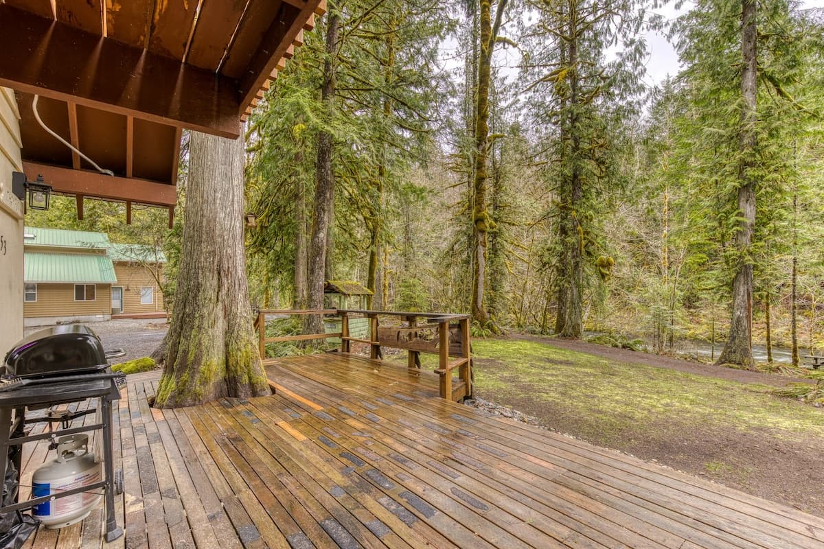 Thompson Cabin - Salmon River Cabin & Fire Pit — photo 27