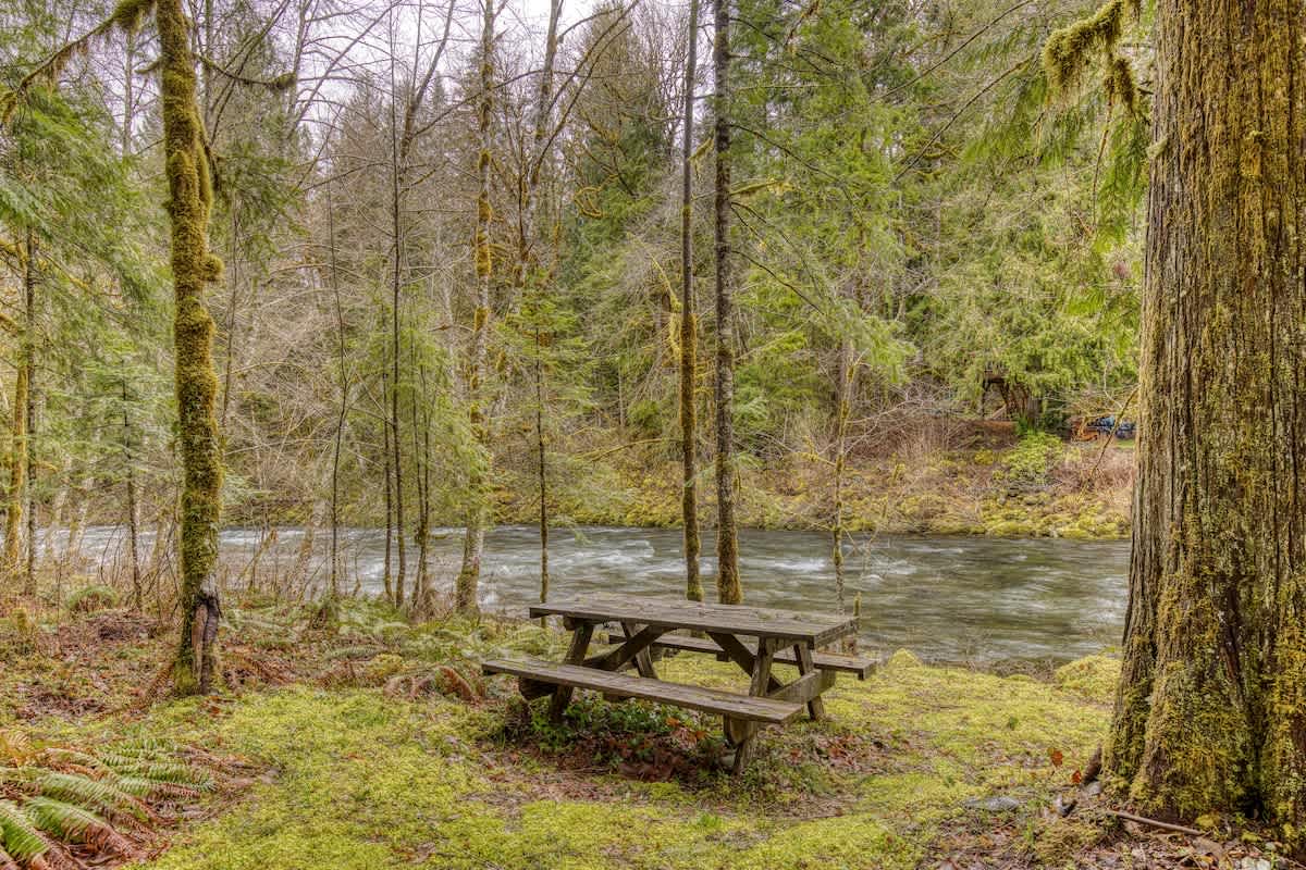 Thompson Cabin- Charming Riverfront Cabin — photo 3
