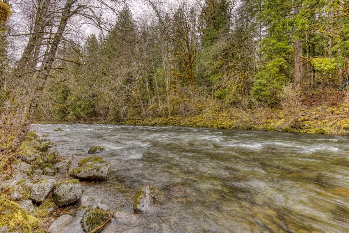 Thompson Cabin - Salmon River Cabin & Fire Pit — photo 29