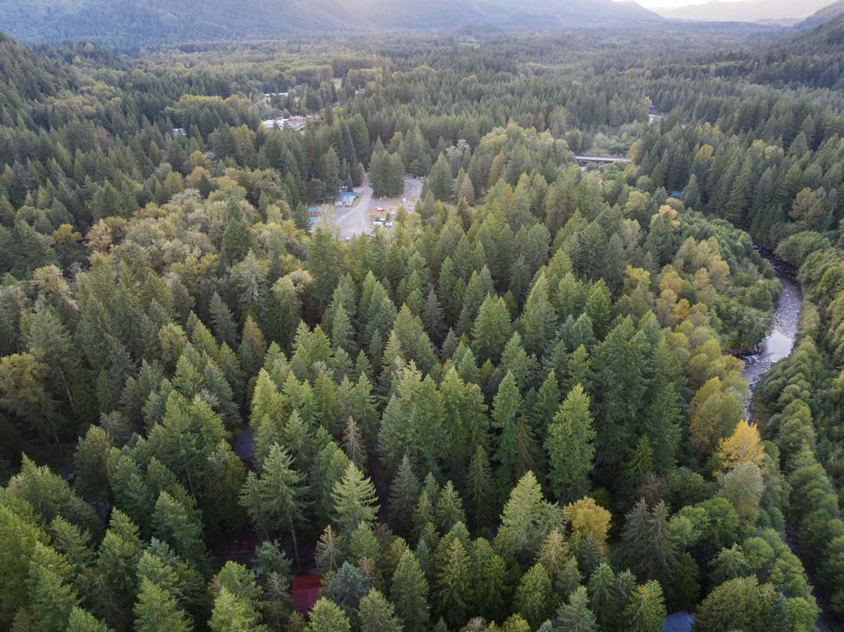 Whispering Pines: Hot Tub Retreat w Sports Court — photo 52