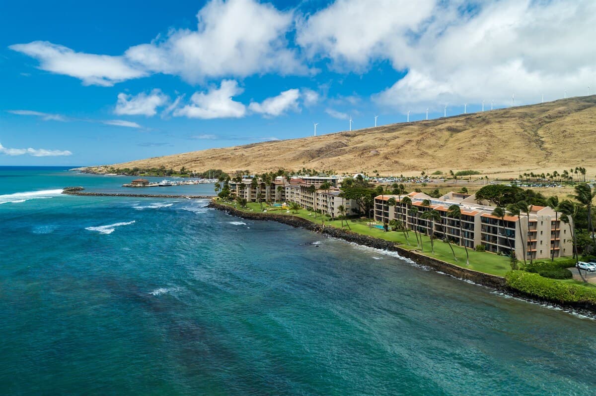 Lauloa 101 — photo 5