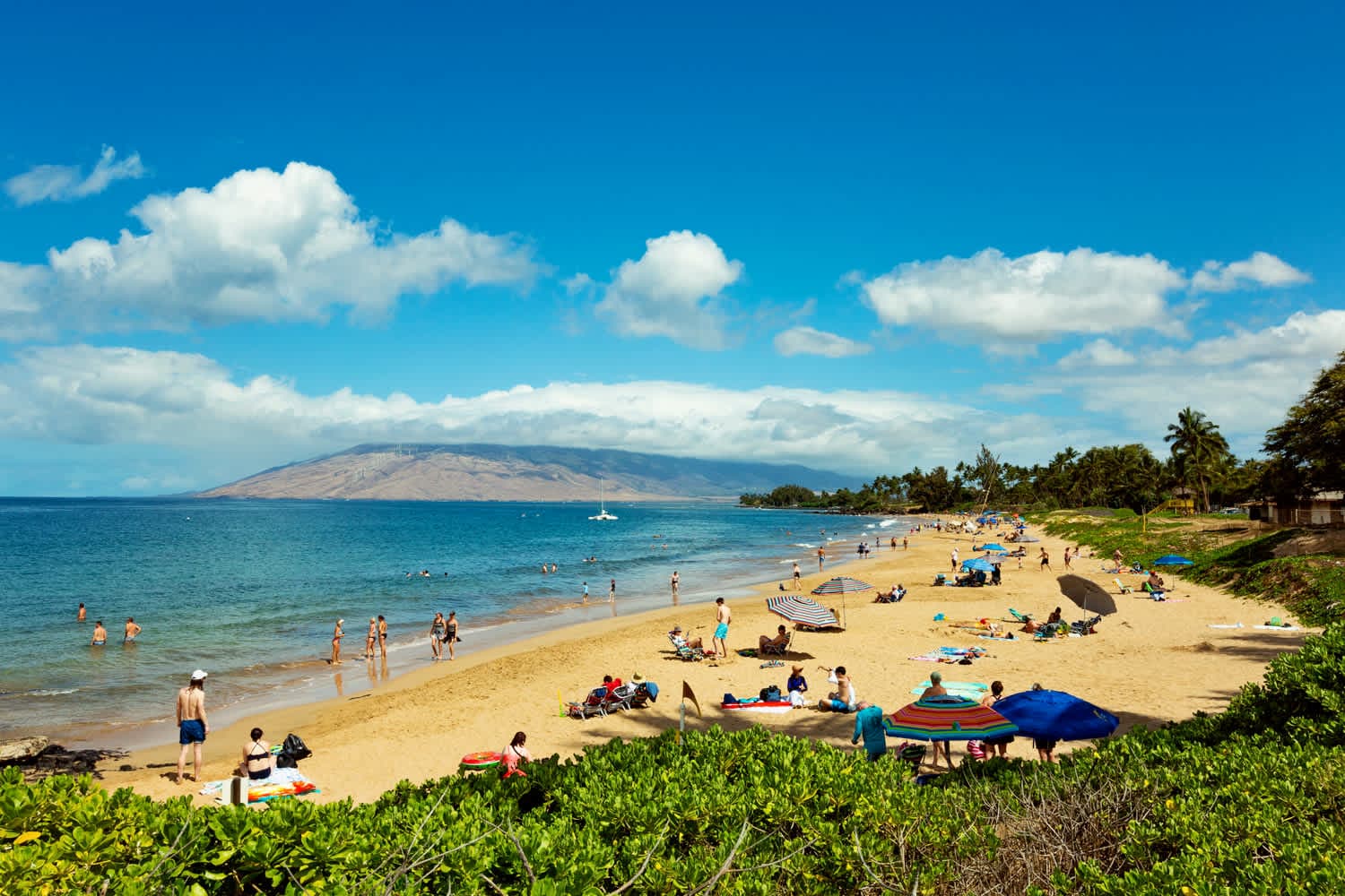 Kihei Ali'i Kai B-401 — photo 7