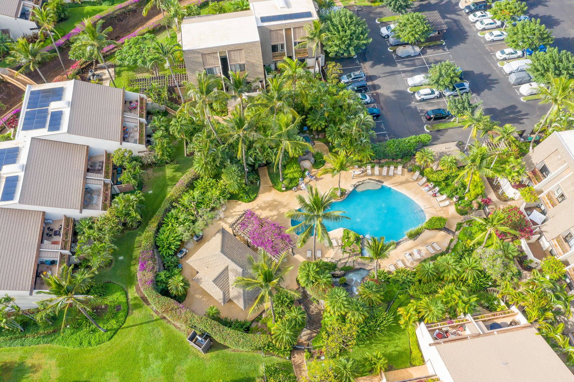 Maui Kamaole G-203 — photo 6