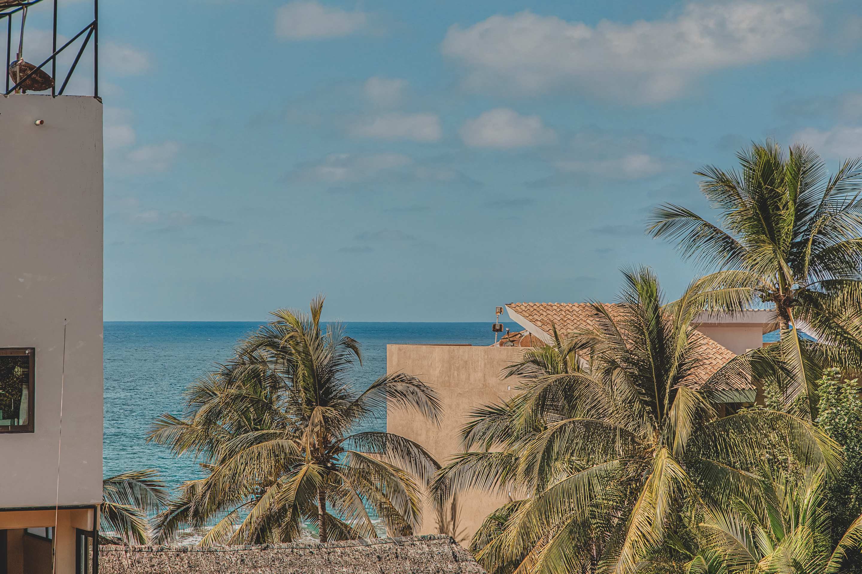 Expansive view of the blue ocean under a partly cloudy sky, framed by numerous green palm trees and distant buildings with terracotta roofs.