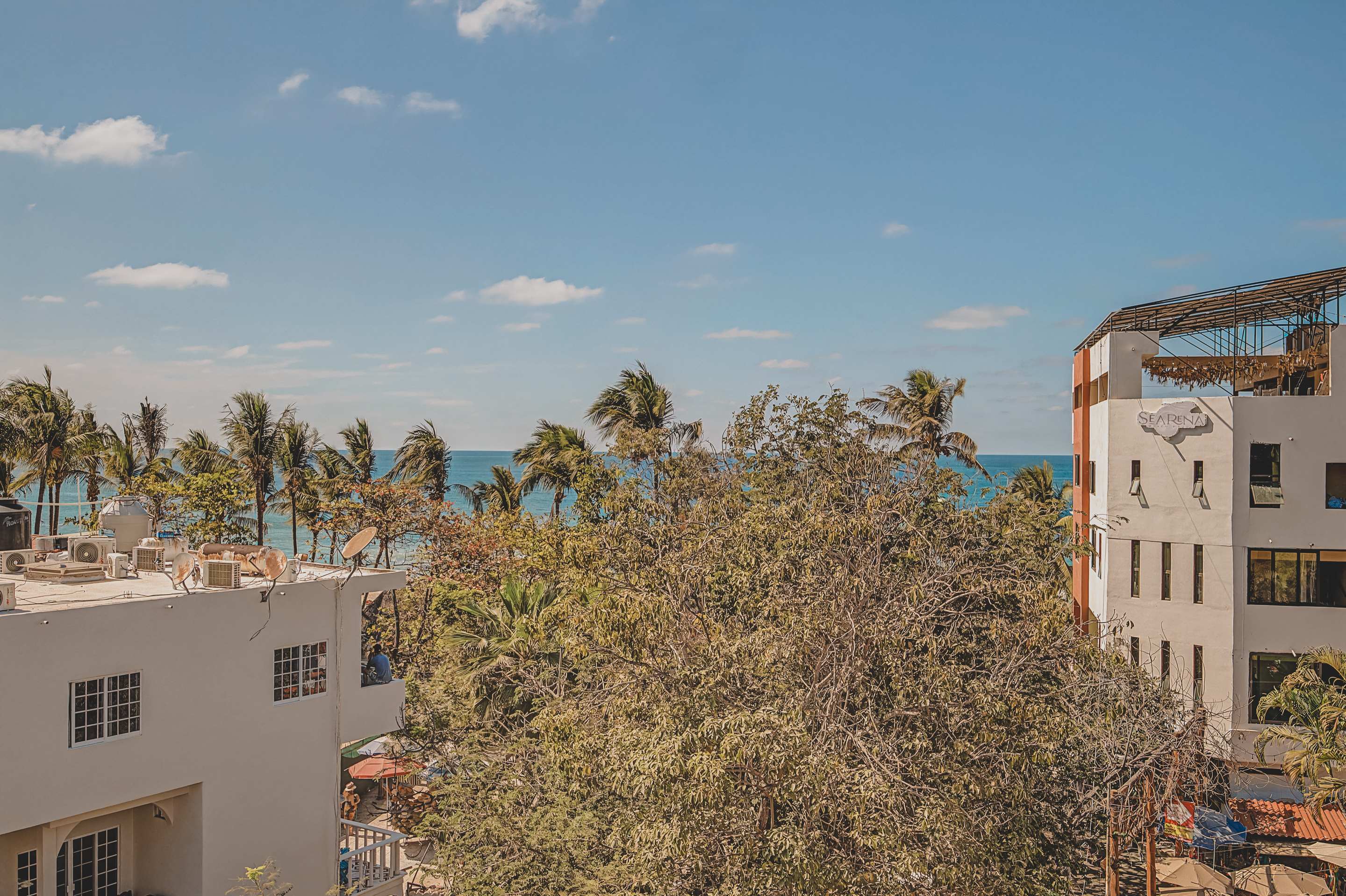A scenic view captures the vibrant blue ocean in the distance, framed by lush green palm trees and other foliage, with white buildings visible in the foreground under a partly cloudy sky.