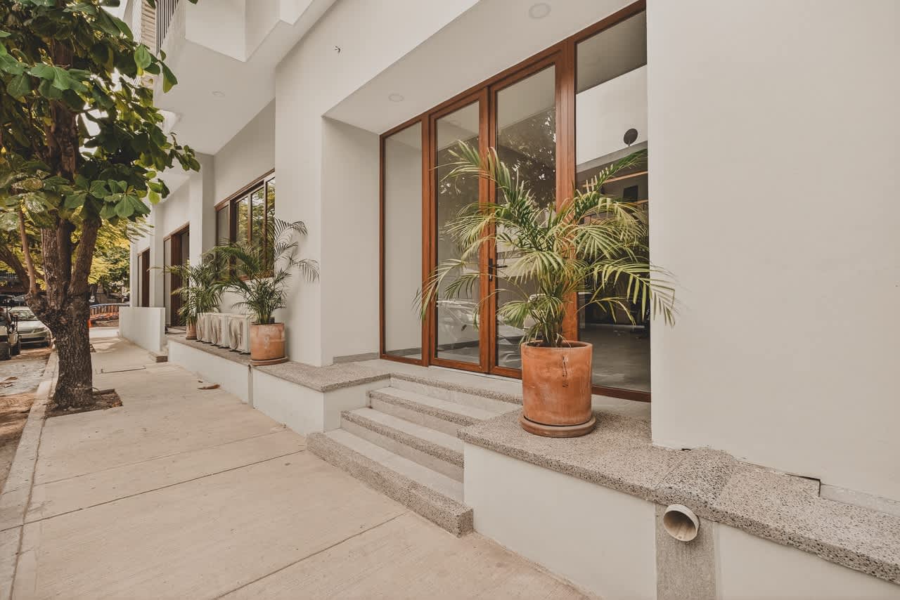 Ground-level view of the building's modern white facade, featuring large wooden-framed glass entrance doors and steps leading up from the sidewalk. Potted palm plants flank the entrance, adding a touch of greenery to the urban setting.