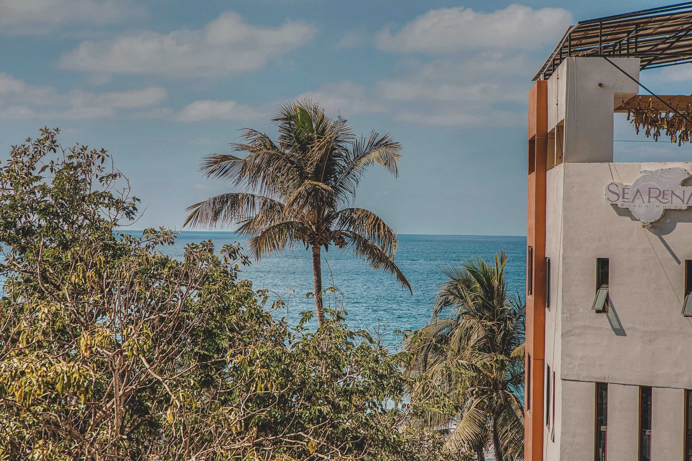 Scenic ocean view with lush palm trees in the foreground and a clear blue sky with scattered clouds. A nearby building with "SEARENA BEACH HOTEL" signage is partially visible.