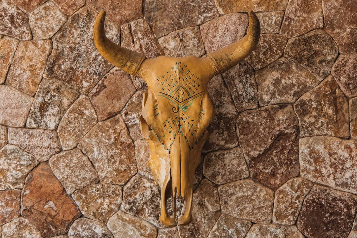 A slightly different angle of the decorative bull skull with painted patterns, mounted on a rustic stone wall. The skull is light brown with black horns and features intricate teal and yellow designs on its forehead, part of an outdoor living space.