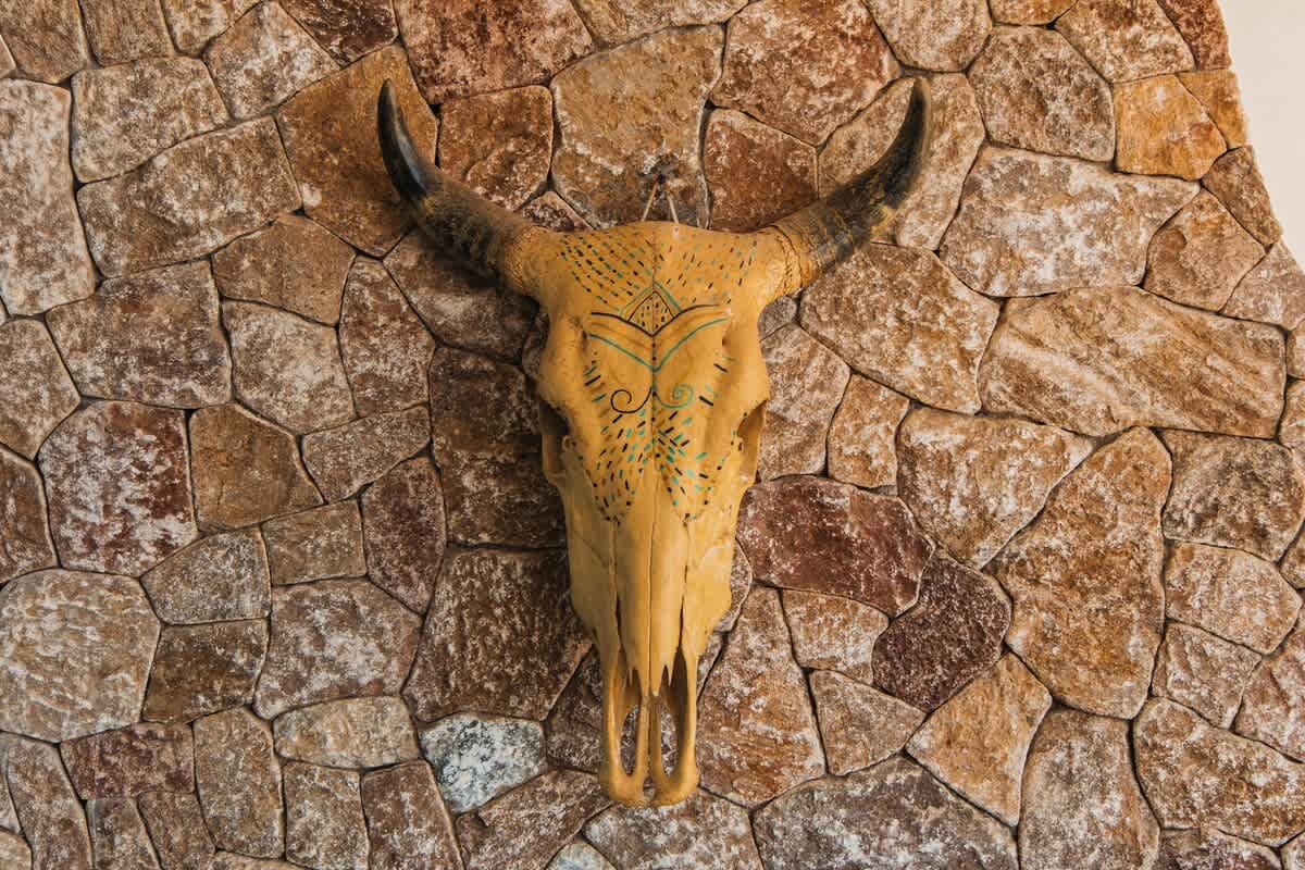 A close-up of a decorative bull skull with painted patterns, mounted on a rustic stone wall. The skull is light brown with black horns and features intricate teal and yellow designs on its forehead, part of an outdoor living space.