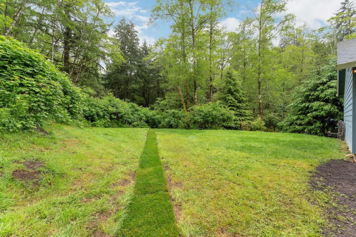 A spacious green backyard with a neatly mowed strip of grass leading towards a dense forest of tall, lush trees. The blue house exterior is partially visible on the right, blending into the natural, wooded surroundings.