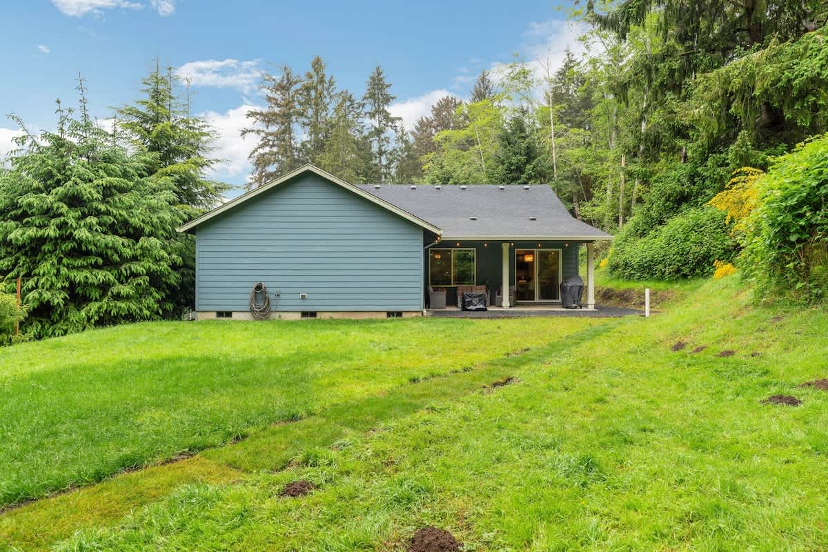 The back of the blue house features a covered patio area with outdoor furniture and a grill, overlooking a lush green lawn that slopes up towards a dense forest. The house is surrounded by abundant greenery and tall trees.