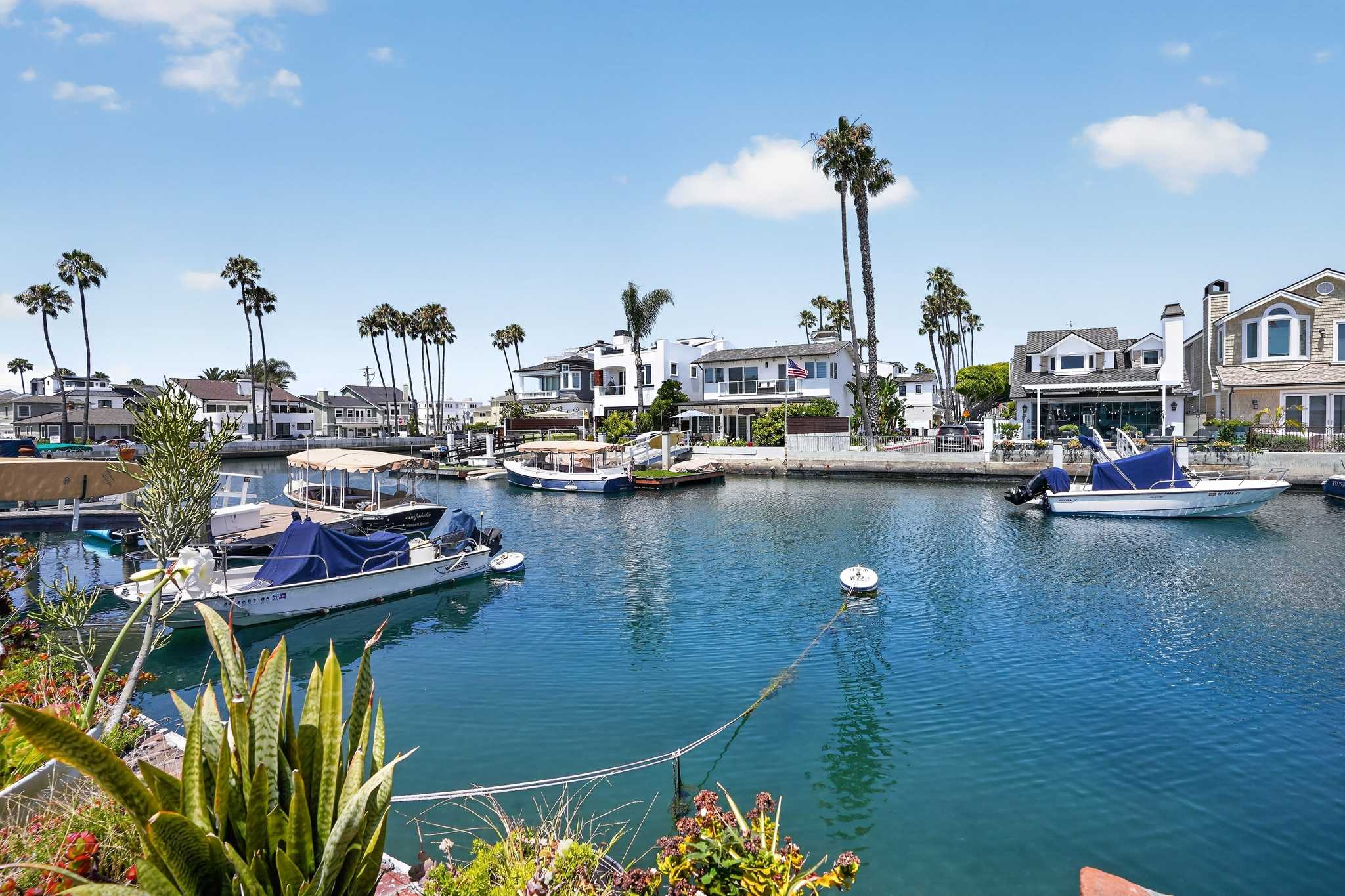 Scenic view of a canal with multiple boats docked along the waterfront, surrounded by houses and tall palm trees under a clear blue sky. Lush green plants are visible in the foreground.