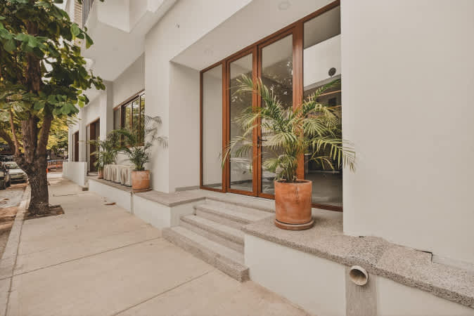 Ground-level entrance of a modern white building, featuring large glass doors framed in wood, flanked by potted palm plants and concrete steps.