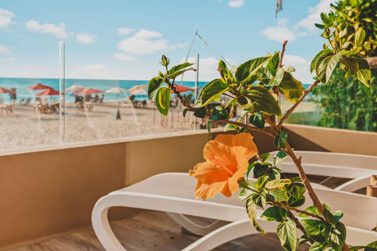 Close-up of a vibrant orange hibiscus flower on a balcony, with blurred white lounge chairs and a clear view of the beach and ocean through a glass railing in the background.