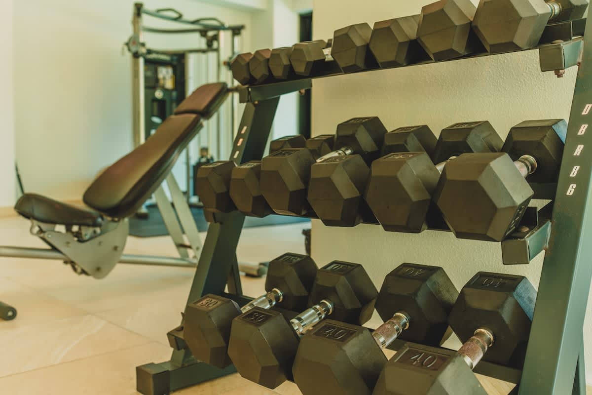 A well-equipped gym features a rack of various weight dumbbells, a weight bench, and other exercise equipment in the background, set on light-colored flooring.