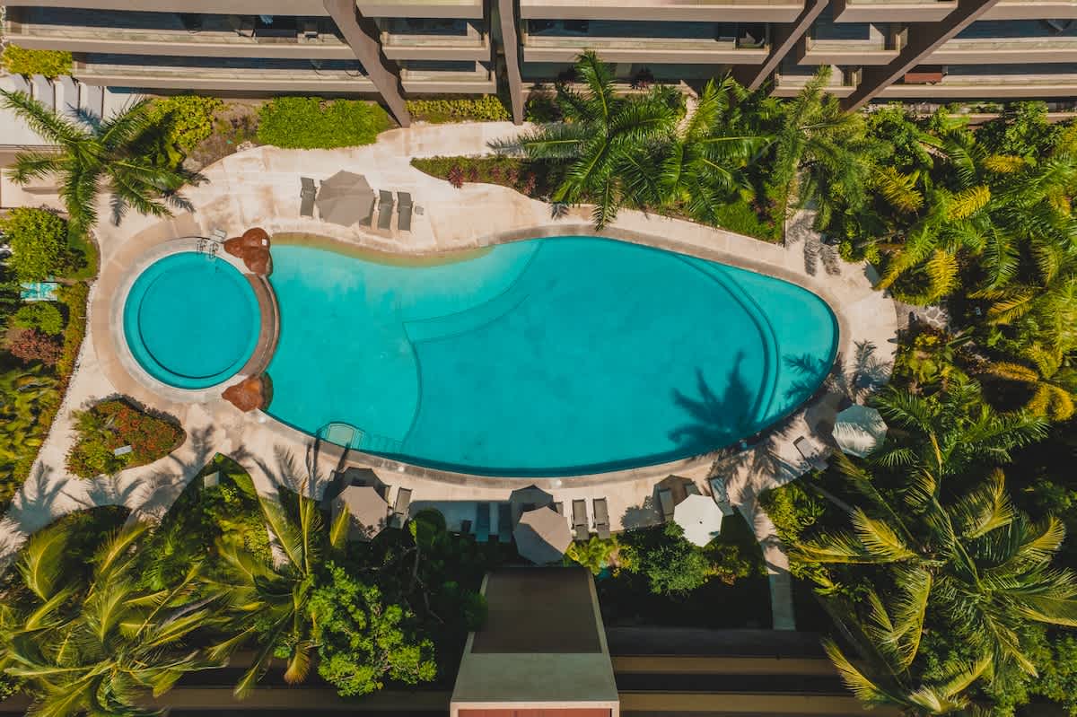 An aerial view showcases a large, freeform turquoise swimming pool connected to a smaller circular pool, surrounded by concrete decking with lounge chairs and umbrellas. Lush tropical palm trees and dense foliage frame the vibrant pool area, with parts of a building visible.
