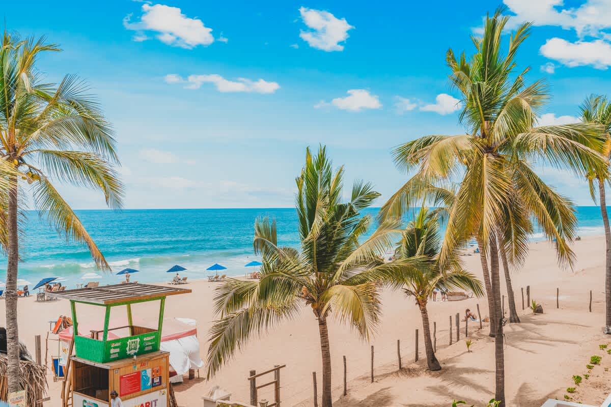 A vibrant beach scene with numerous tall palm trees lining the sandy shore, overlooking the turquoise ocean under a bright blue sky with scattered clouds. Beach umbrellas and chairs are visible in the distance.