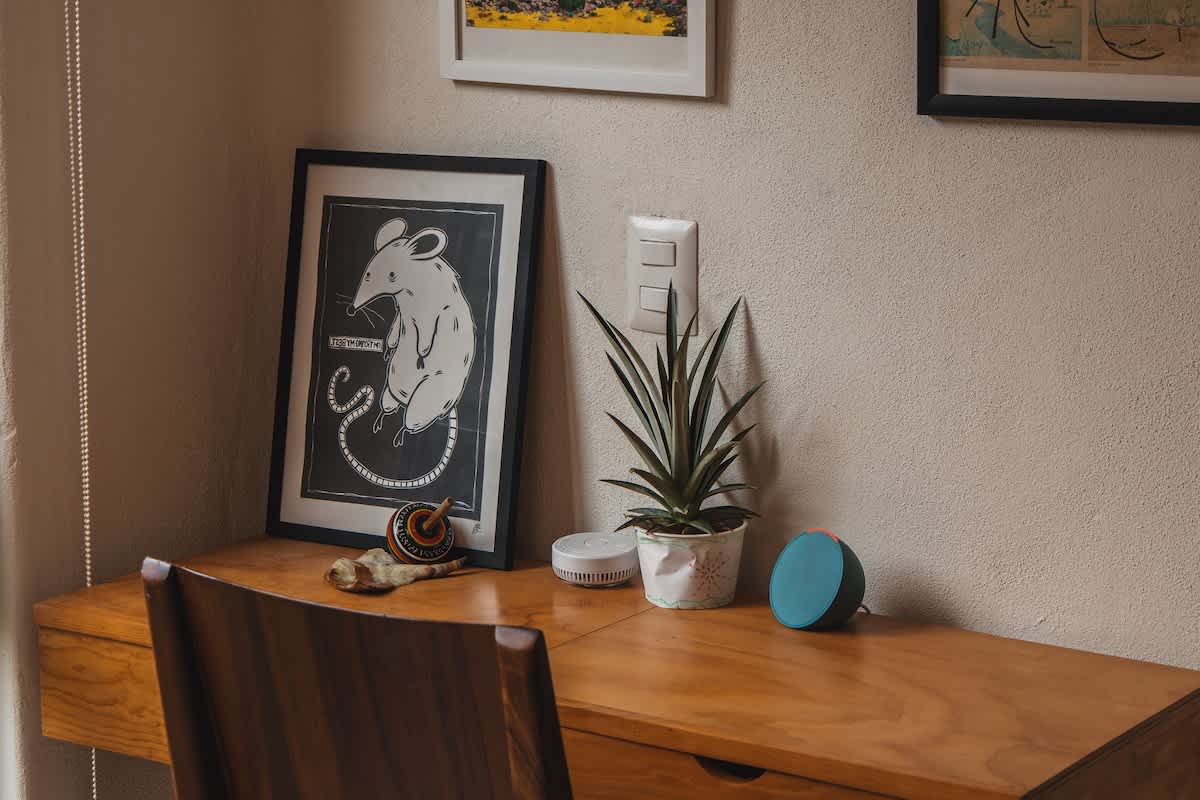 A wooden desk features a framed black and white rat illustration, a small potted plant, and two smart speakers, with a wooden chair partially visible, creating a functional workspace.