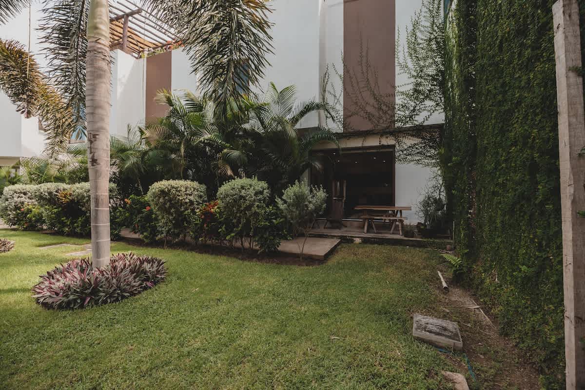 A well-maintained green lawn is bordered by dense, manicured bushes and tropical plants, leading to a building facade partially covered in lush green vines, with a wooden picnic table visible in a shaded area.