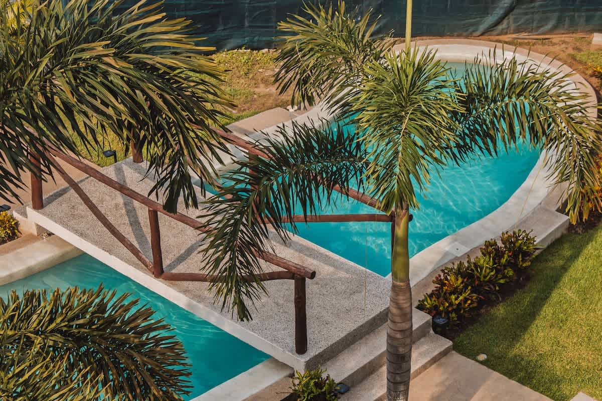 An overhead view captures a light blue swimming pool with a concrete bridge spanning across it, surrounded by vibrant green palm trees and lush landscaping. The pool's irregular shape is bordered by concrete, with steps leading up to the bridge.