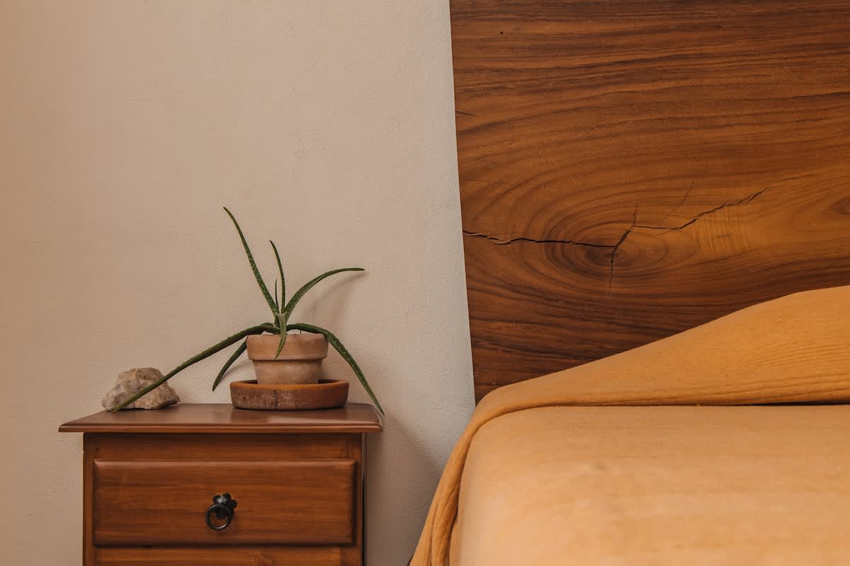 A wooden nightstand holds a potted aloe vera plant and a decorative rock, positioned beside a bed with a prominent live-edge wooden headboard, creating a natural aesthetic.