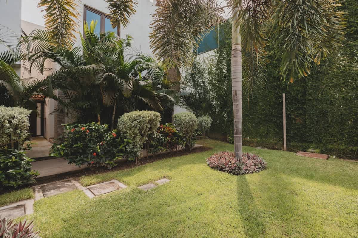 A sunny green lawn is surrounded by a variety of tropical plants and shrubs, including a large palm tree, with stepping stones forming a path and a modern building partially visible in the background.