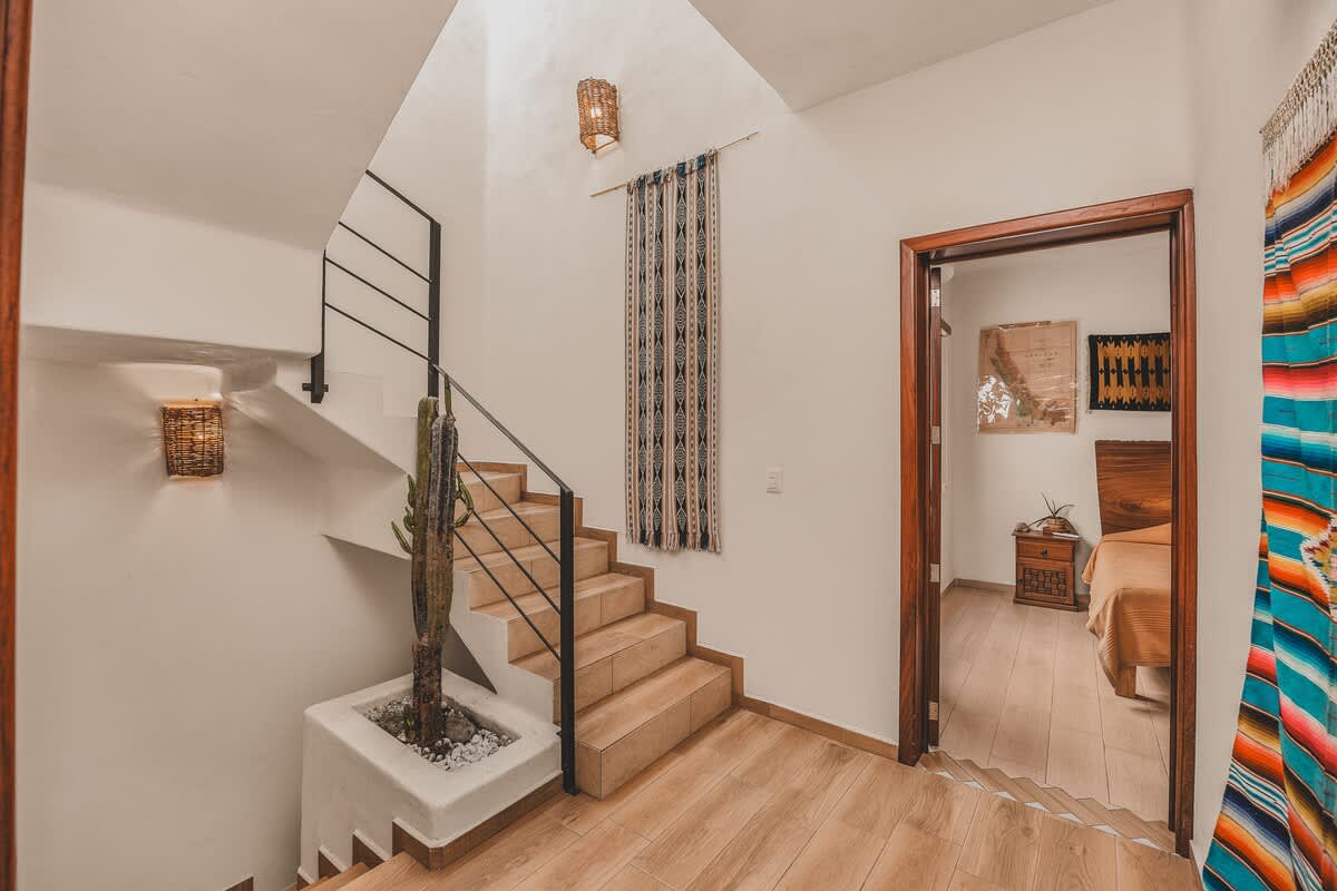 Inviting staircase with light-colored steps and black metal railings, featuring a decorative cactus plant in a white planter at its base and a doorway leading to an adjacent room. Wall decor is visible.