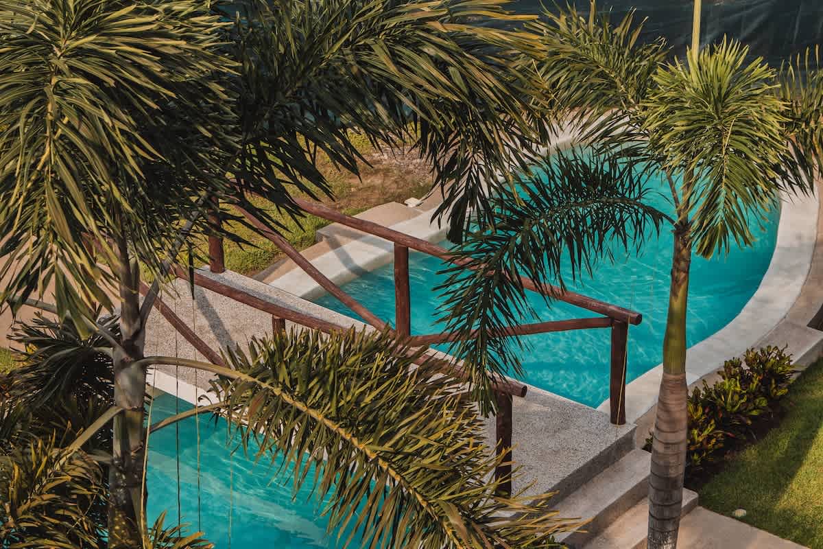 An aerial view of a freeform swimming pool with bright blue water, featuring a small wooden bridge crossing over it, surrounded by lush green palm trees and tropical foliage. The pool deck is made of light-colored concrete.