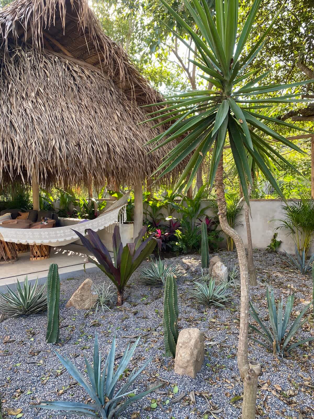 Lush garden area featuring a variety of cacti and agave plants on a gravel bed. A large thatched-roof palapa with a white hammock offers a shaded relaxation spot.