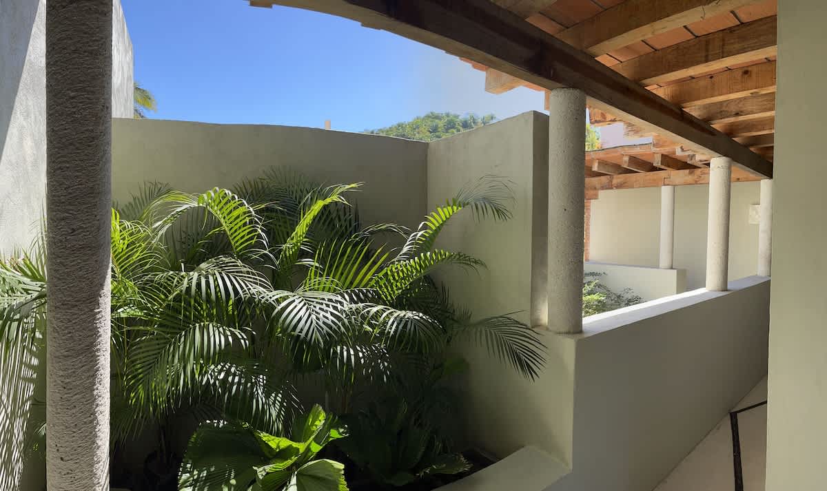 Covered outdoor walkway or patio area with concrete pillars, a wooden beam ceiling, and vibrant green tropical plants thriving in a central planter, bathed in sunlight.