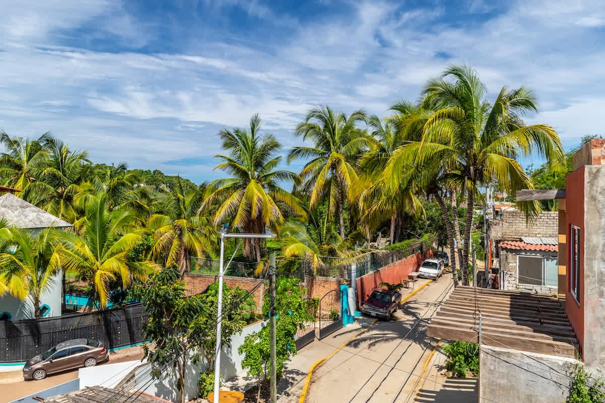 Elevated view of a residential street lined with vibrant green palm trees under a bright blue sky with scattered clouds. Cars are parked along the road, and various houses with different architectural styles are visible.